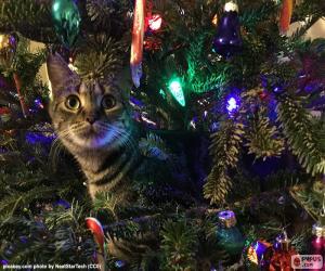 yapboz Kedi ve Noel ağacı